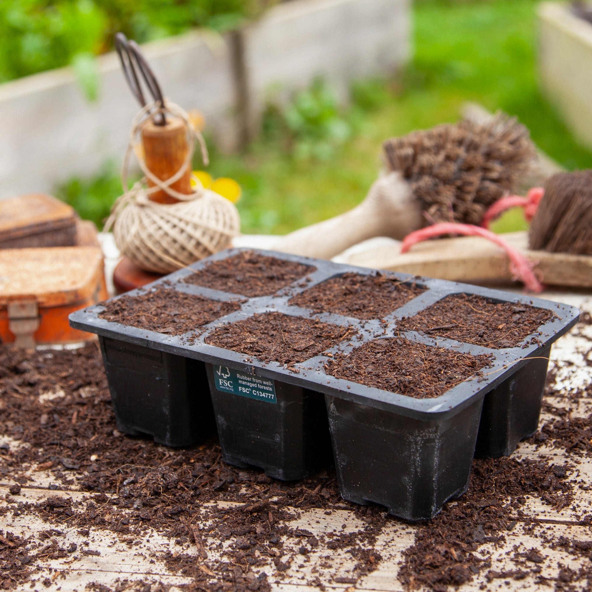 Black, plastic free, six cell seed tray with extra large cells made of FSC certified, fair trade natural rubber.