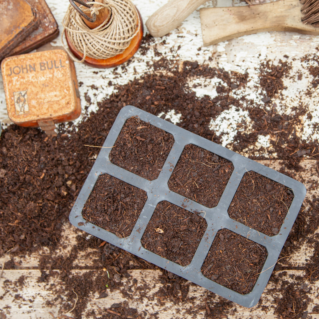 Black, plastic free, six cell seed tray with extra large cells made of FSC certified, fair trade natural rubber.