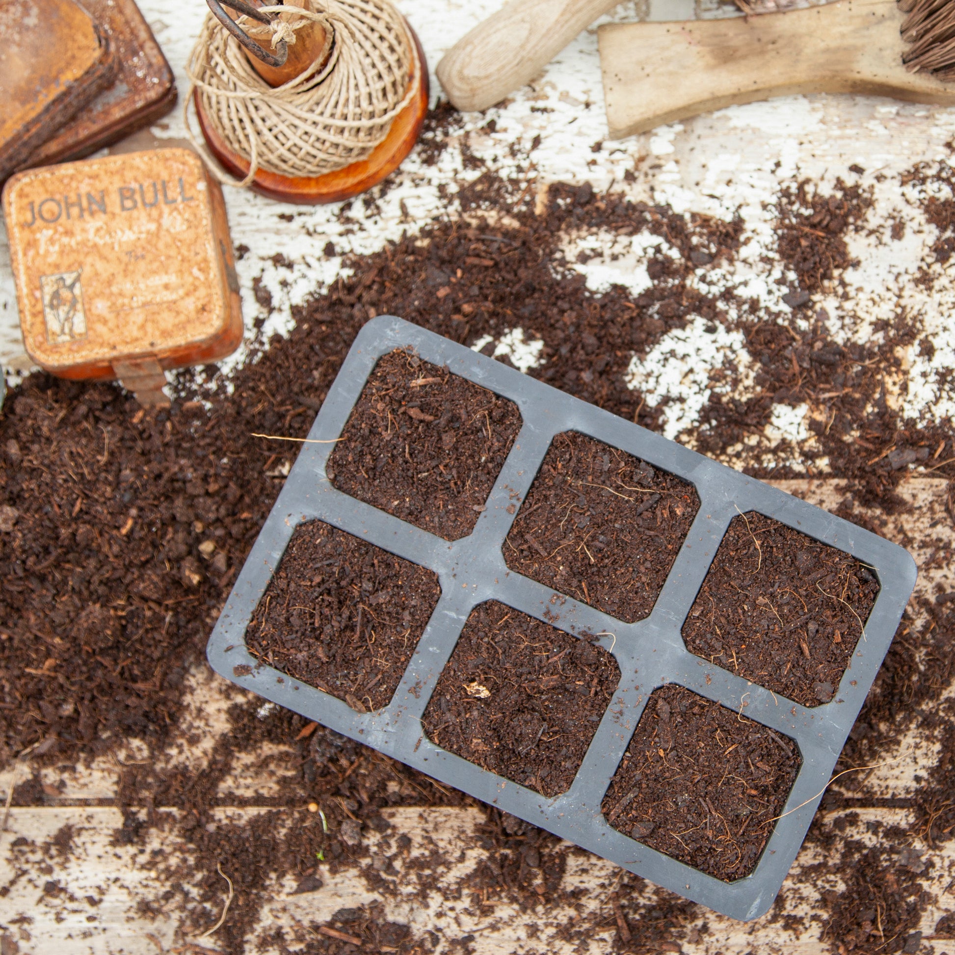 Black, plastic free, six cell seed tray with extra large cells made of FSC certified, fair trade natural rubber.