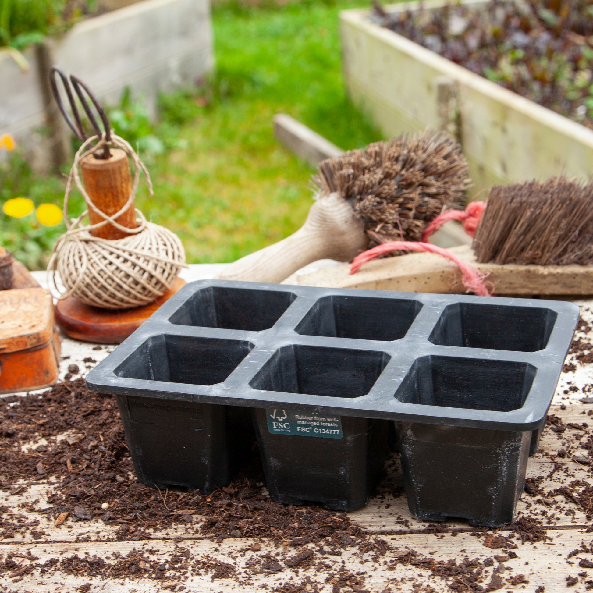 Black, plastic free, six cell seed tray with extra large cells made of FSC certified, fair trade natural rubber.