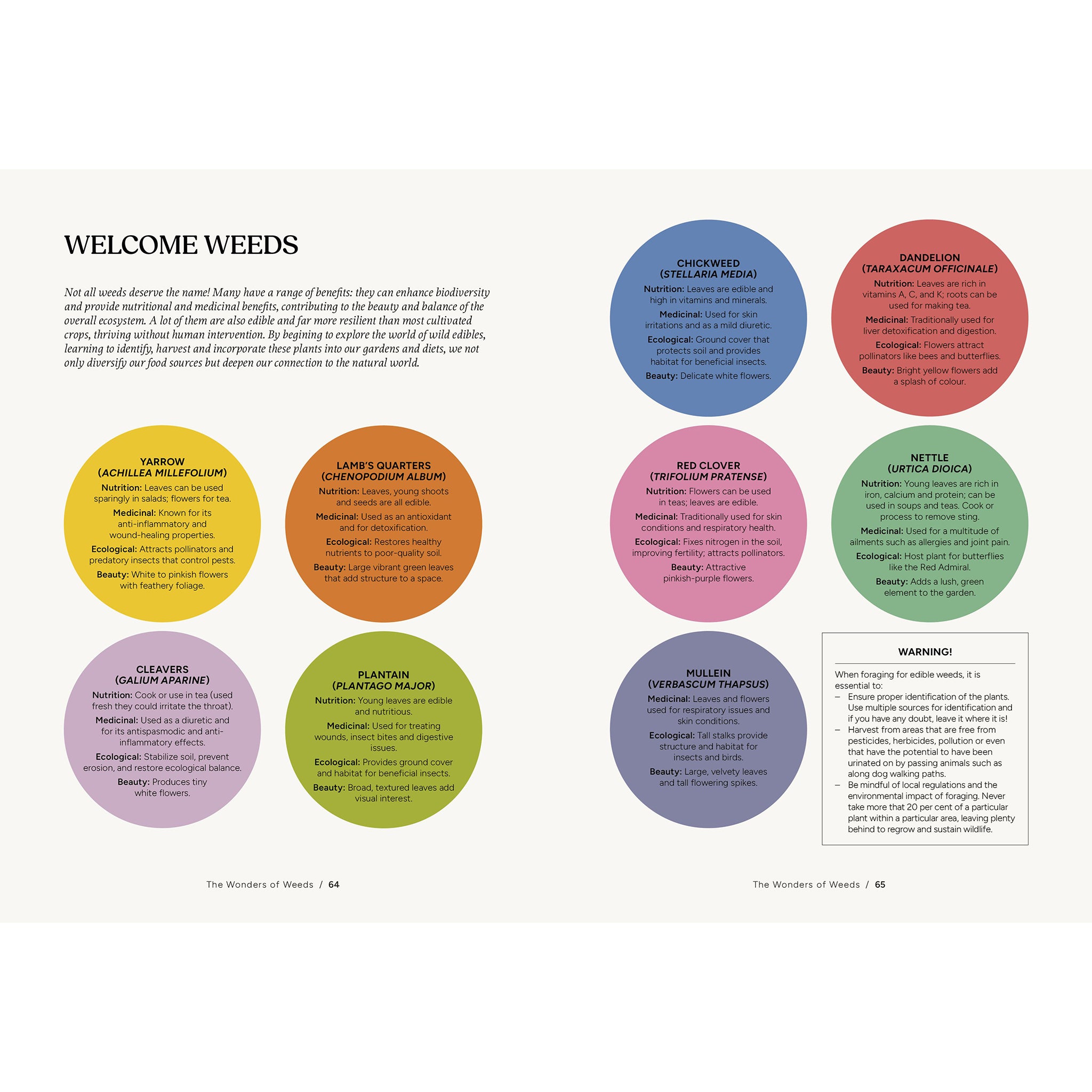 Nettles & Petals - Jamie Walton