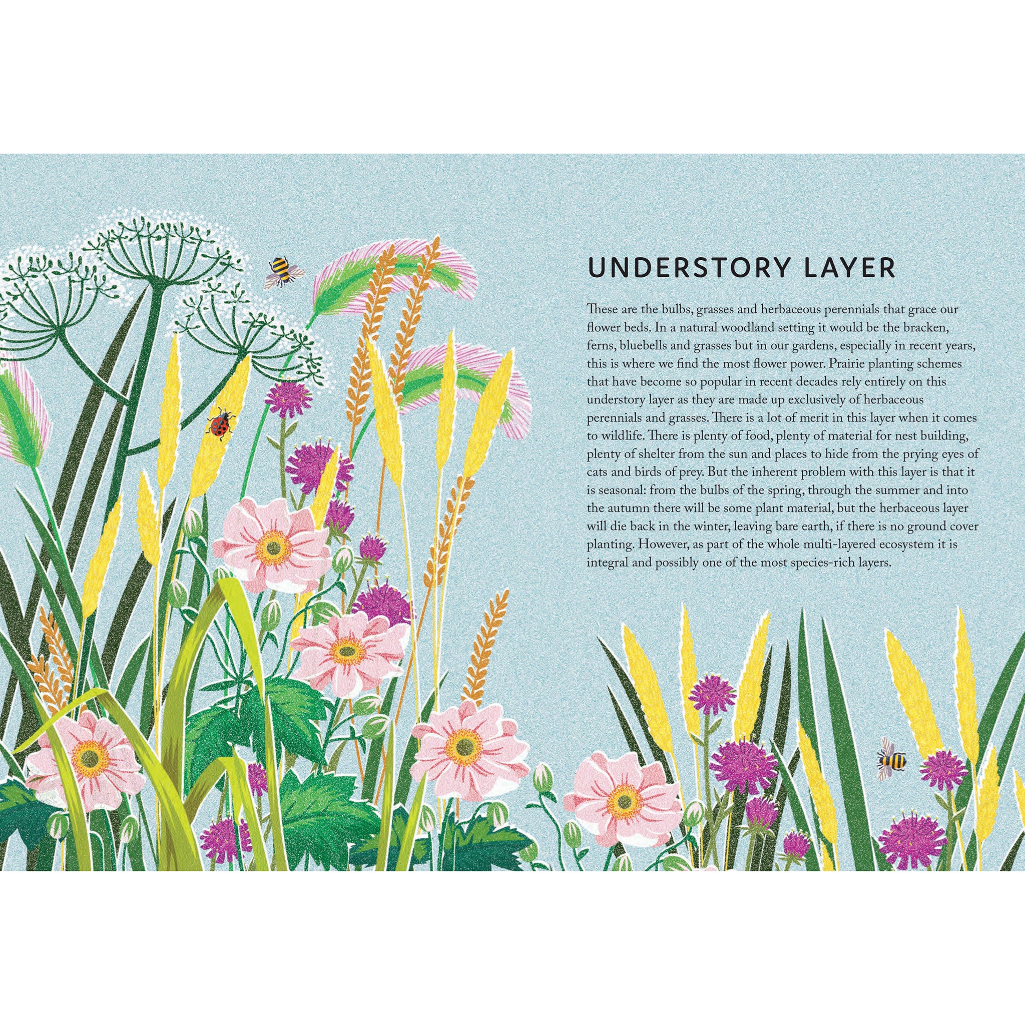Rewild Your Garden - Frances Tophill