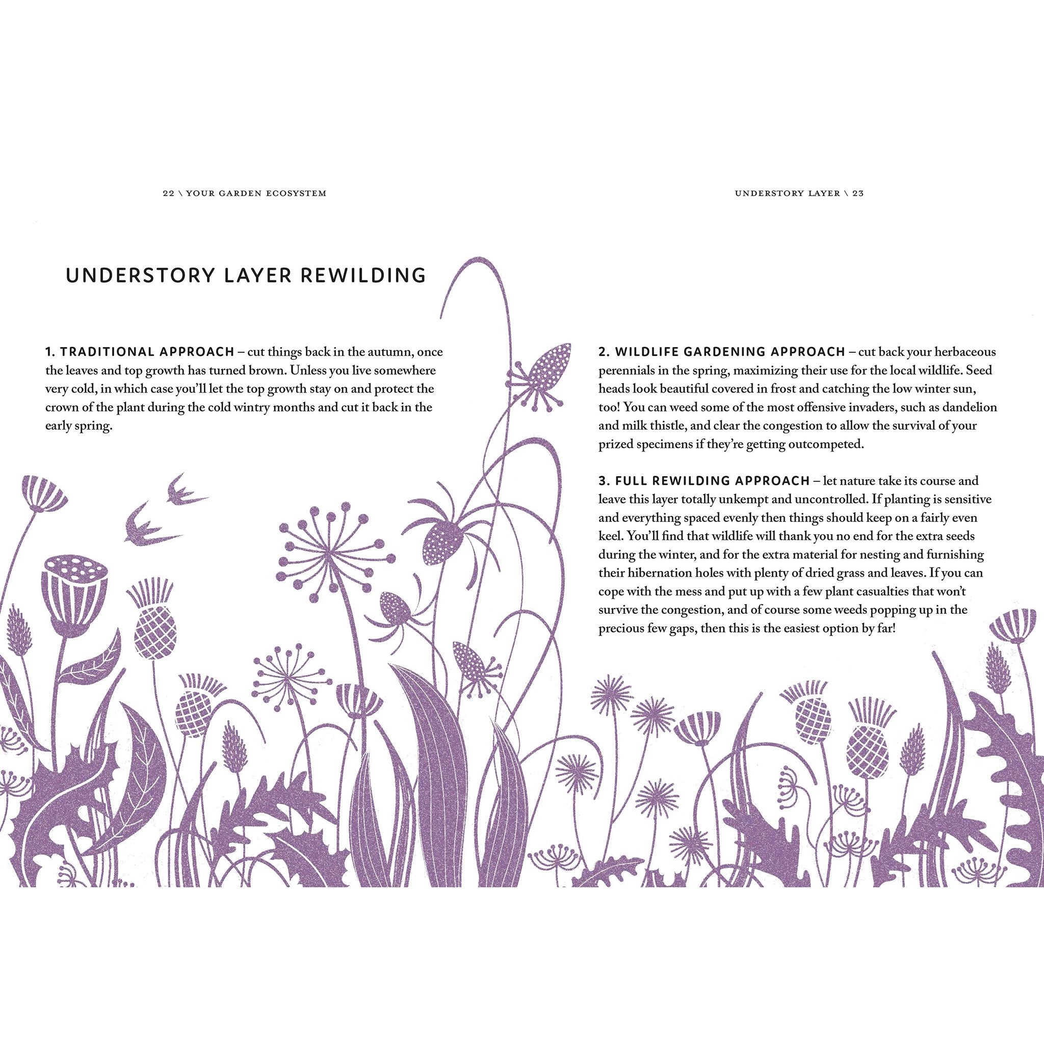 Rewild Your Garden - Frances Tophill