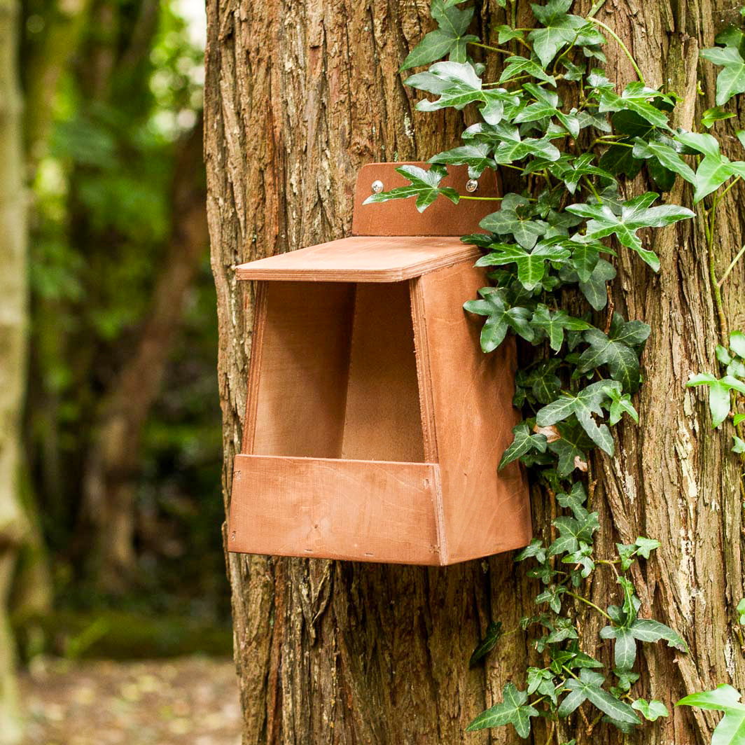 Robin nest box made of FSC certified plywood.