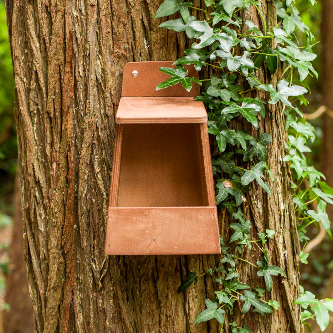 Robin nest box made of FSC certified plywood.