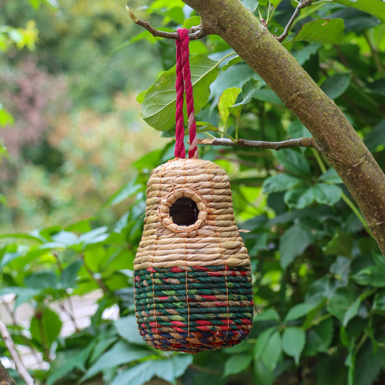 ‘Sari’ Artisan Bird Nester hanging from a tree branch.