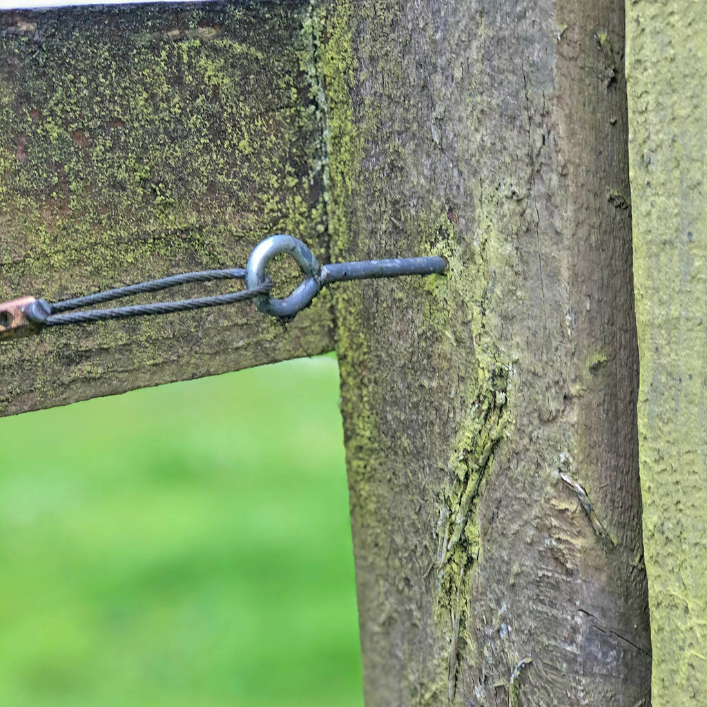 Screw vine eye in a fence.
