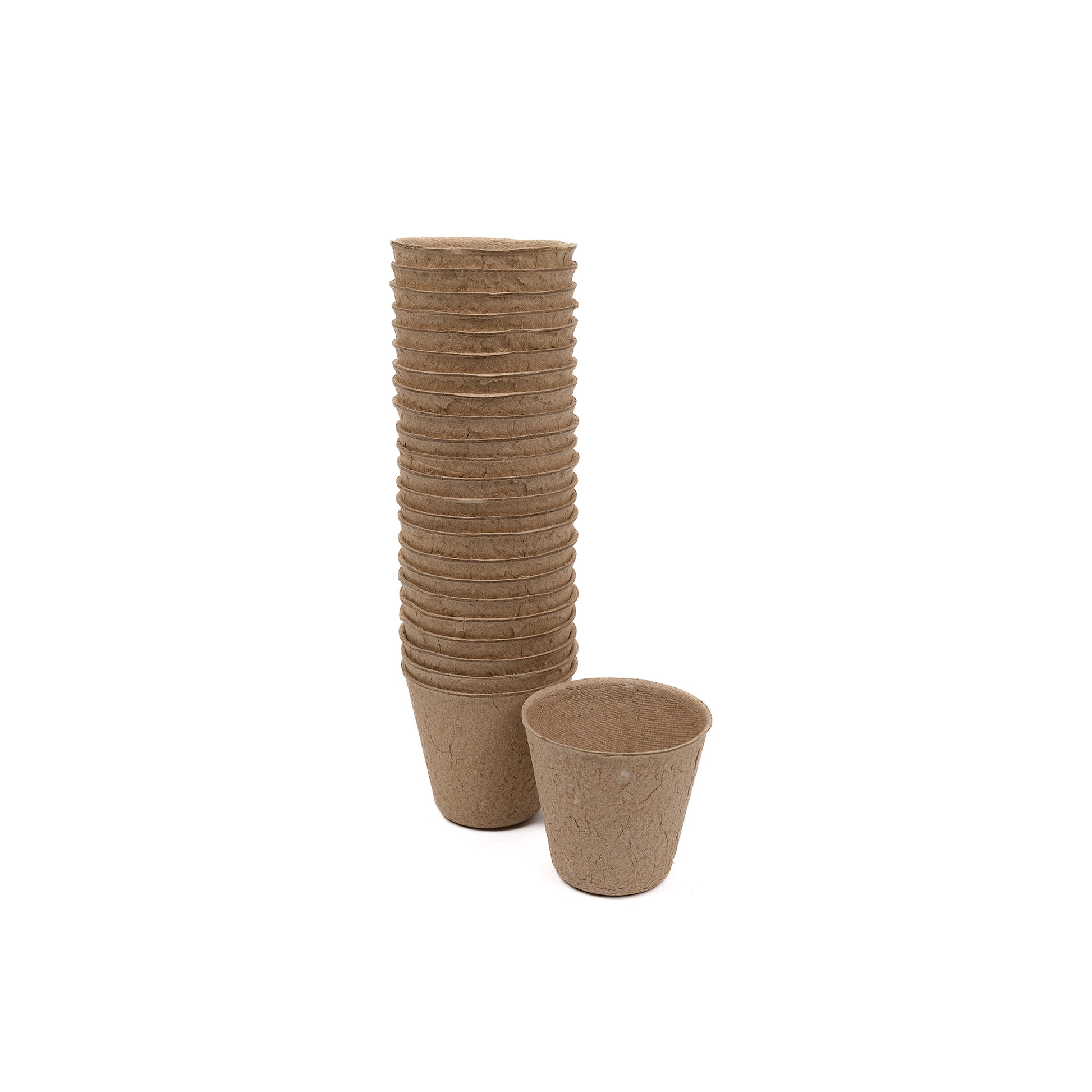 Pack of twenty four, plastic free, small biodegradable grow pots made of FSC certified recycled paper pulp.