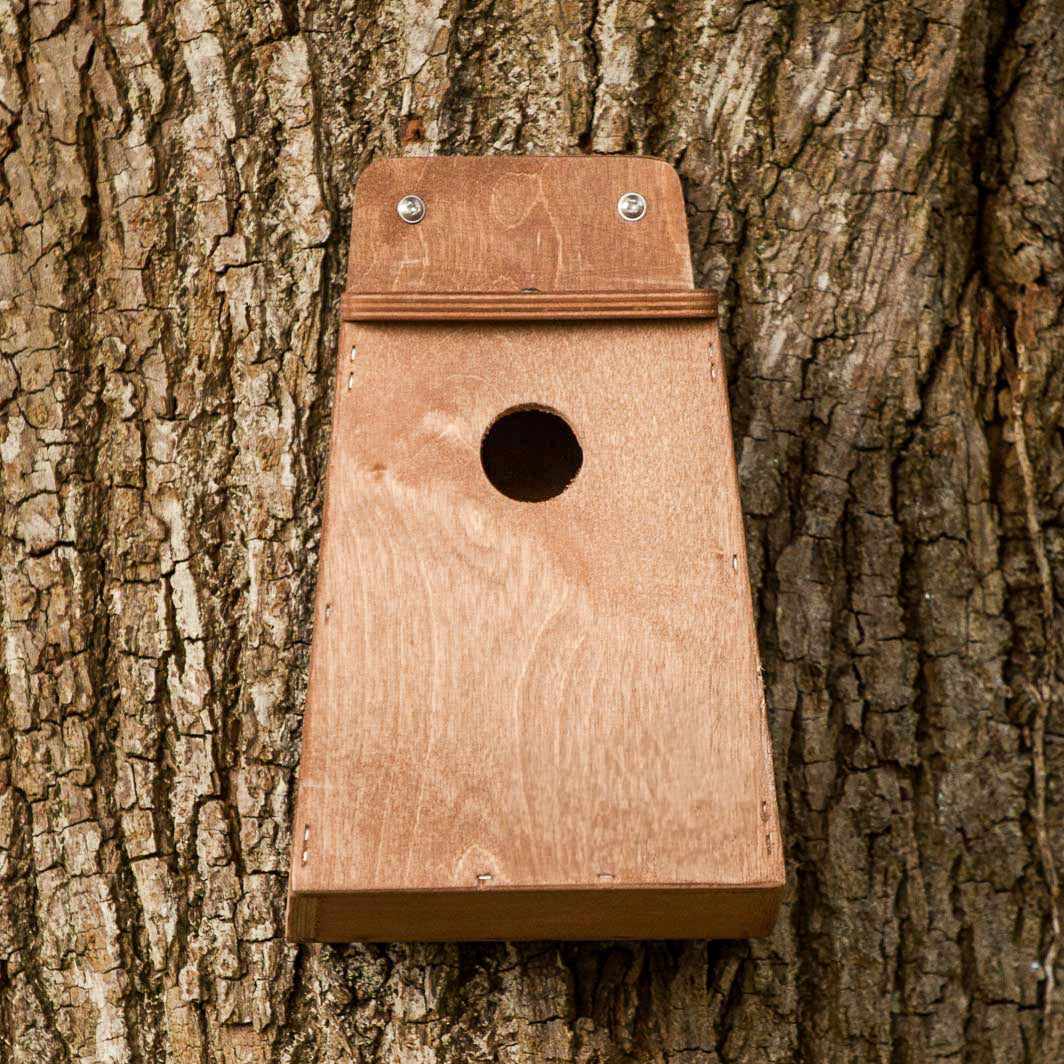 Small bird nest box made of FSC certified plywood.