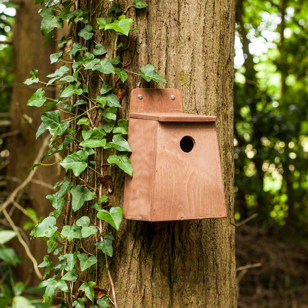 Small bird nest box made of FSC certified plywood.