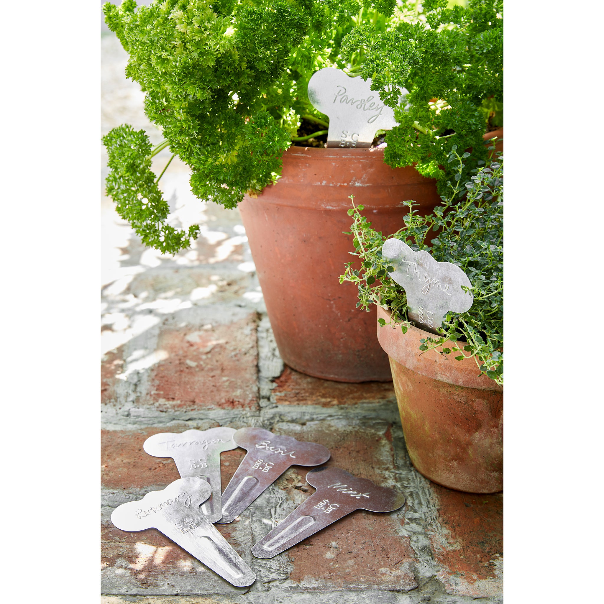 Terracotta pots with herbs in and embossed metal herb labels on a brick surface.