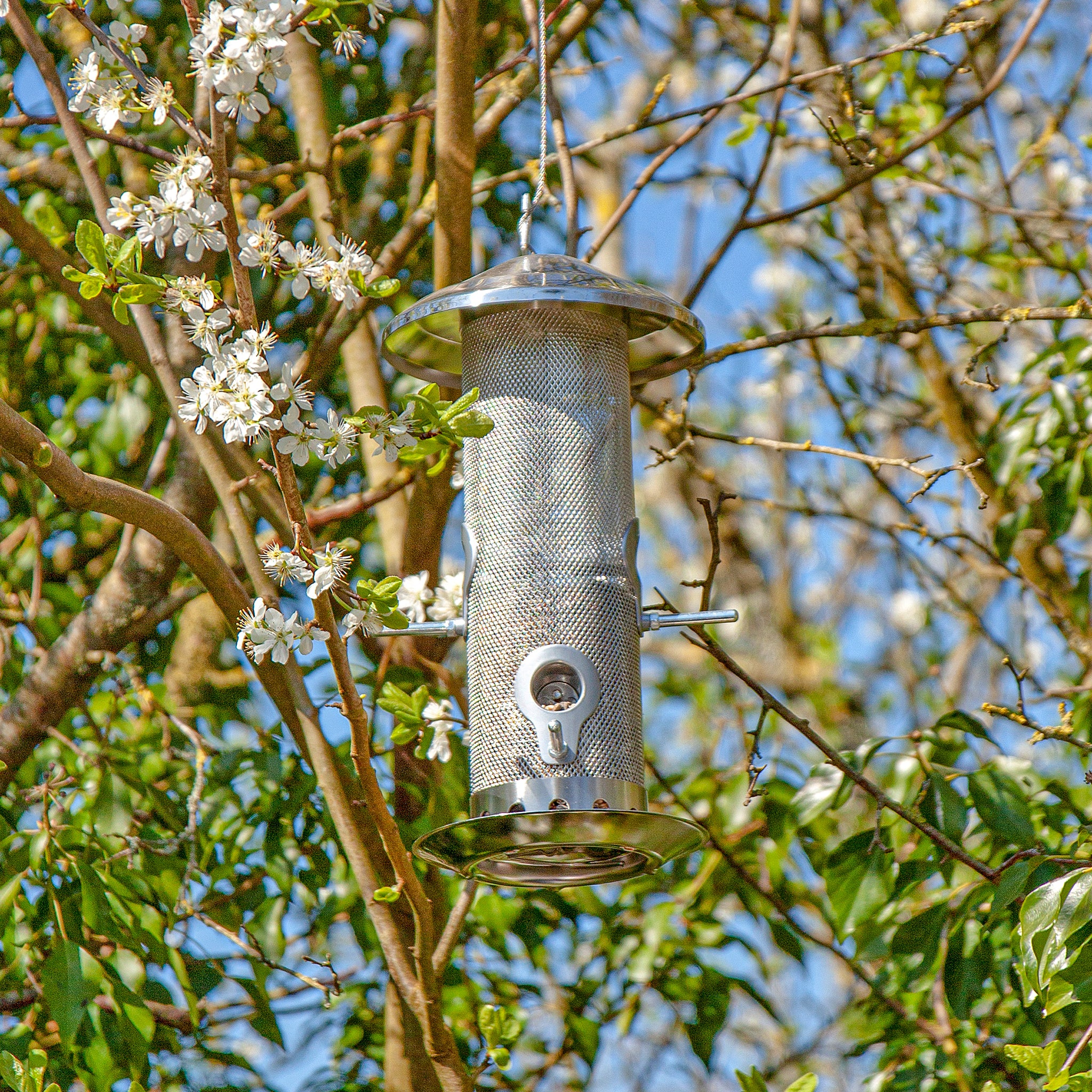 Stainless Steel Seed Bird Feeder hanging from a branch.