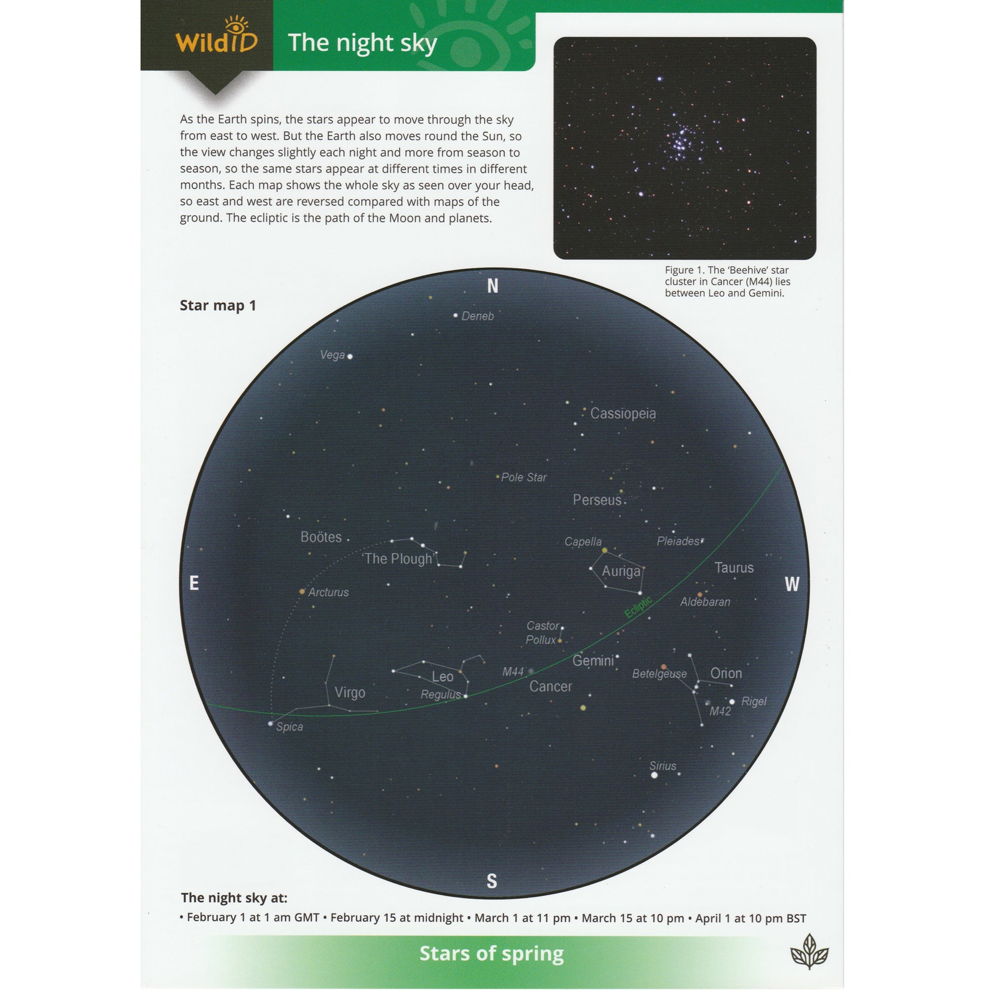 Illustrated fold out laminated guide to the stars of the night sky.