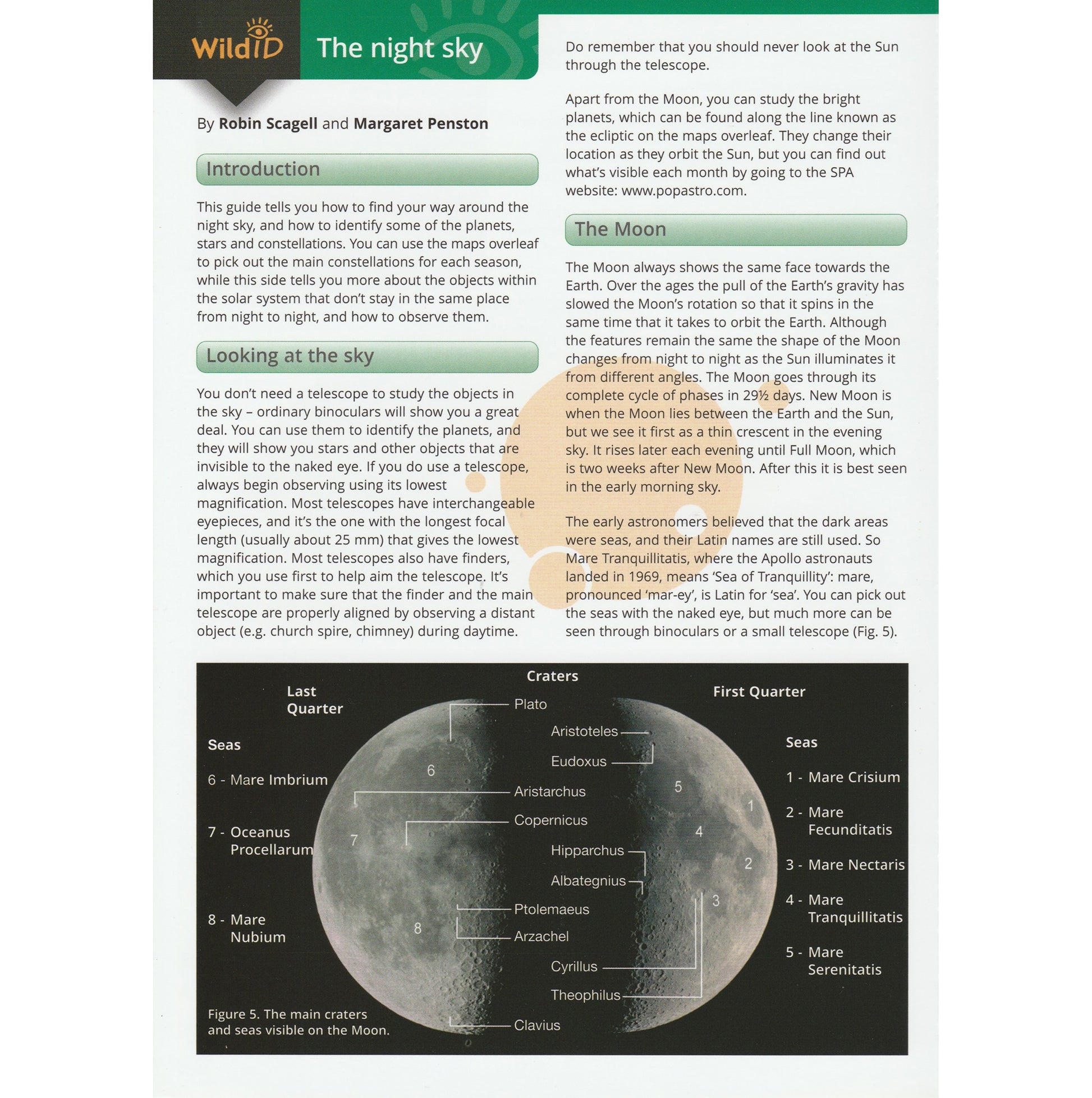 Illustrated fold out laminated guide to the stars of the night sky.