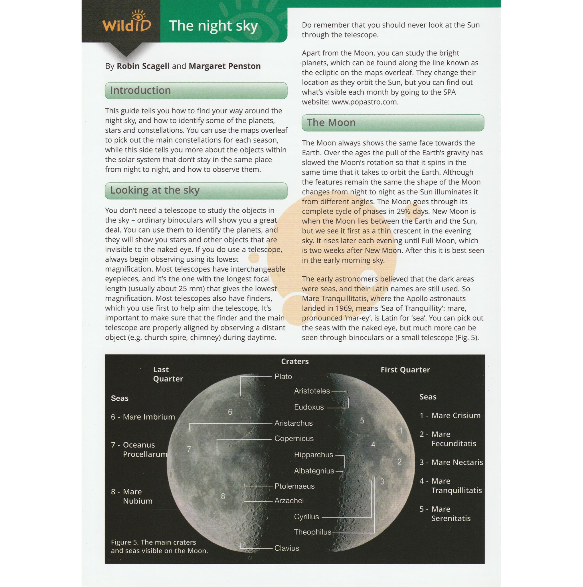 Illustrated fold out laminated guide to the stars of the night sky.