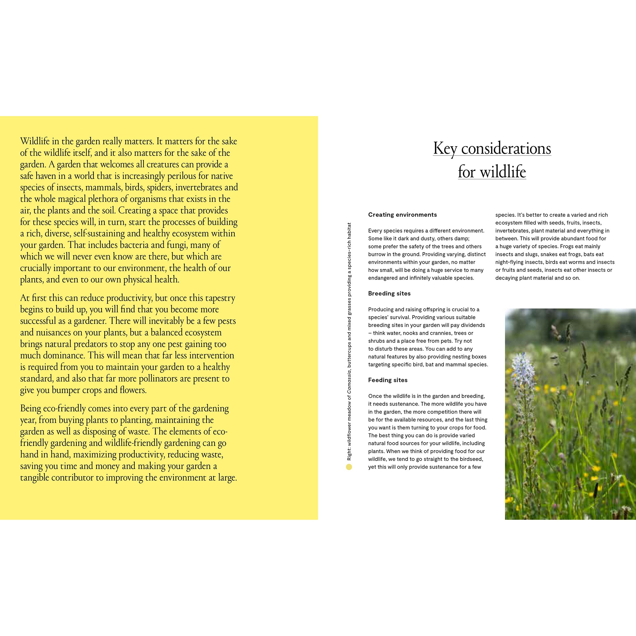 The Modern Gardener - Frances Tophill