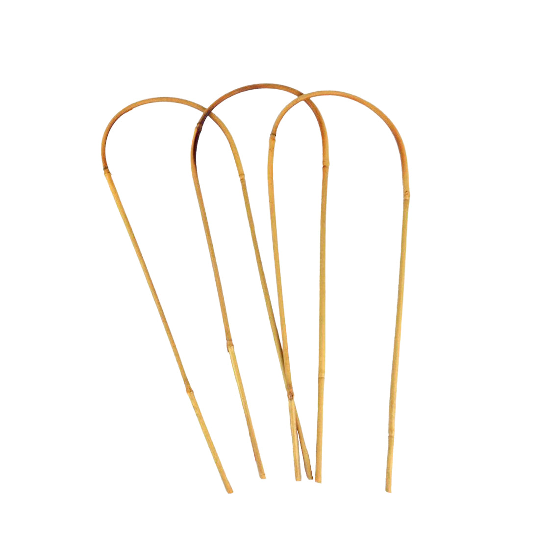 Three 60 cm long bamboo plant support loops.