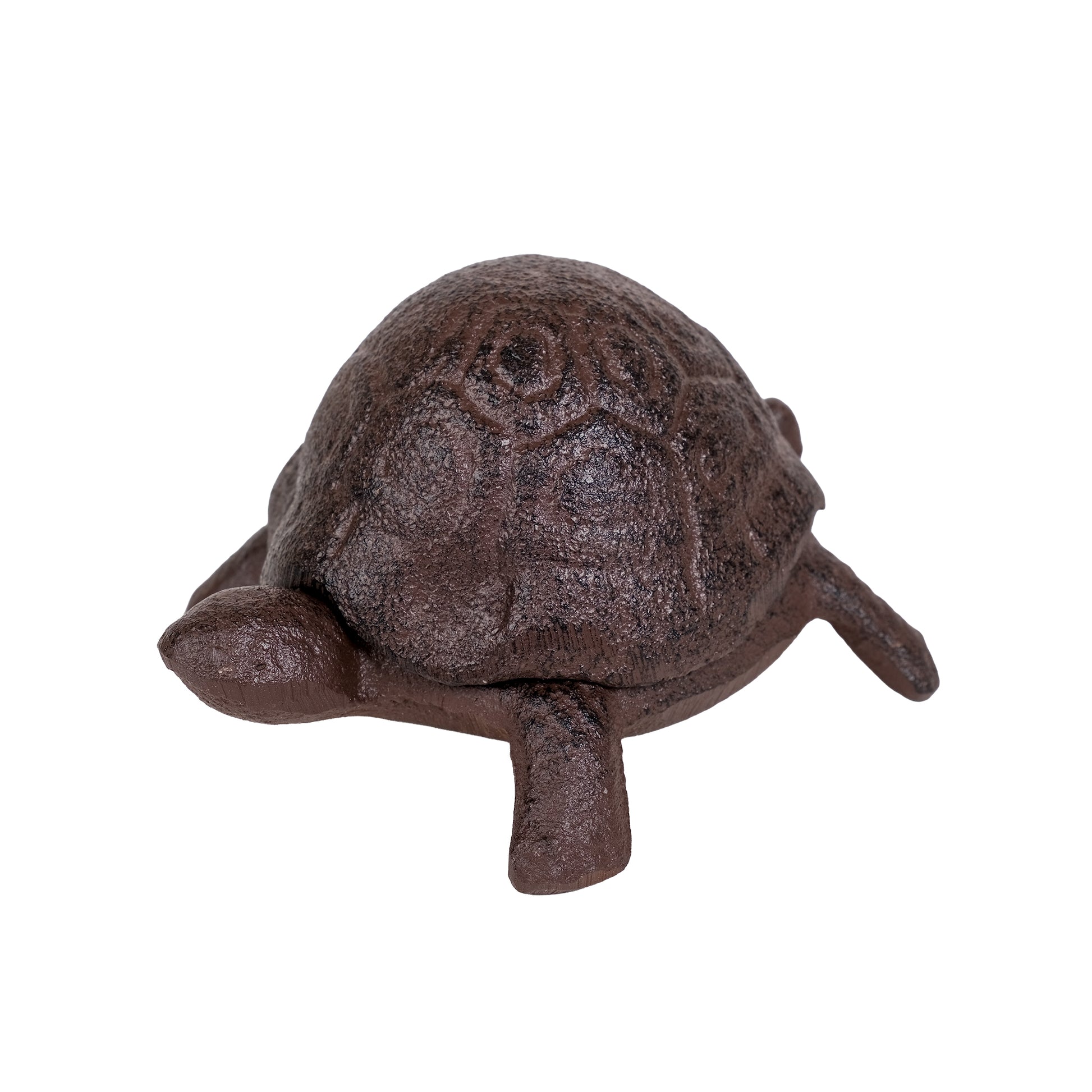 Tortoise key keeper.