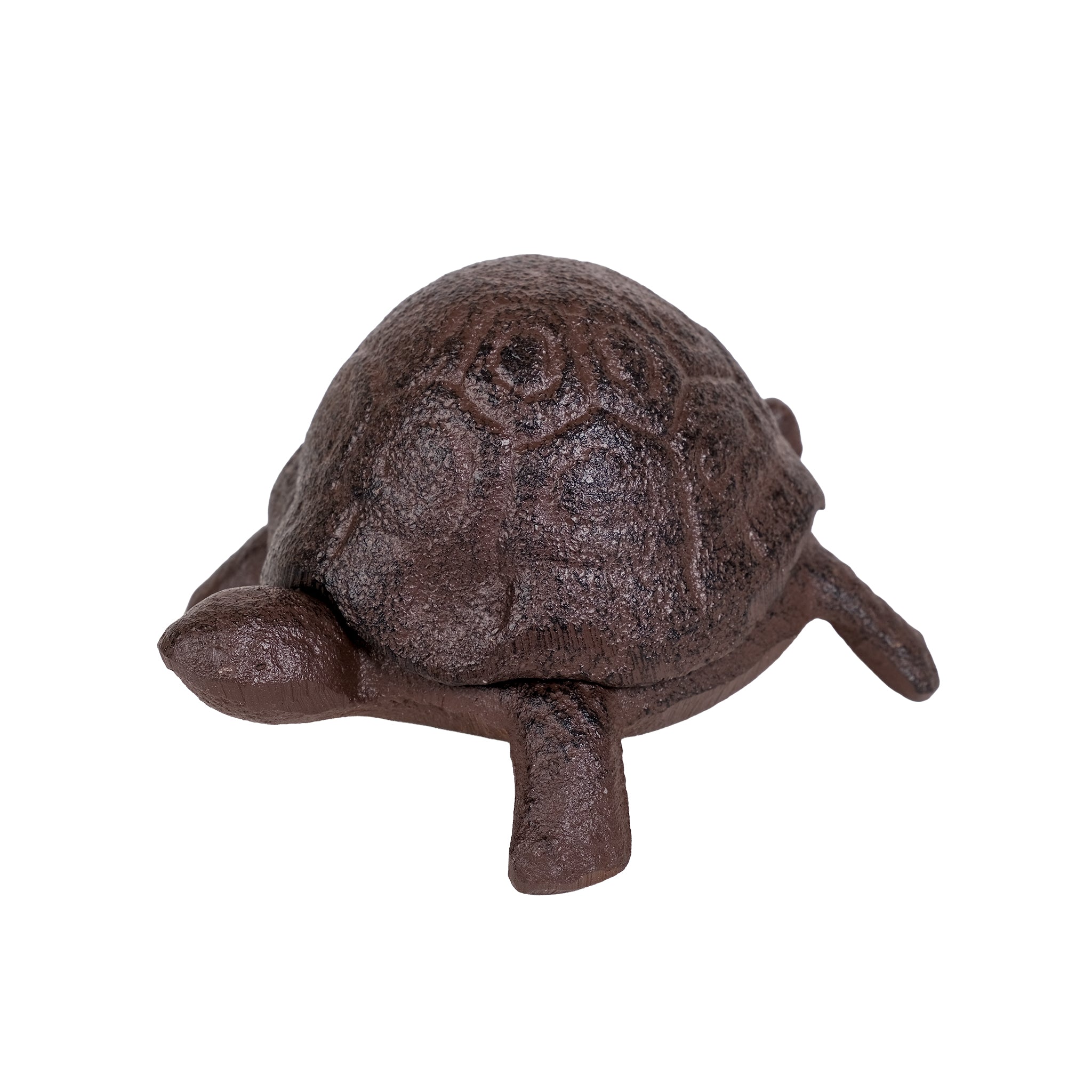 Tortoise key keeper.