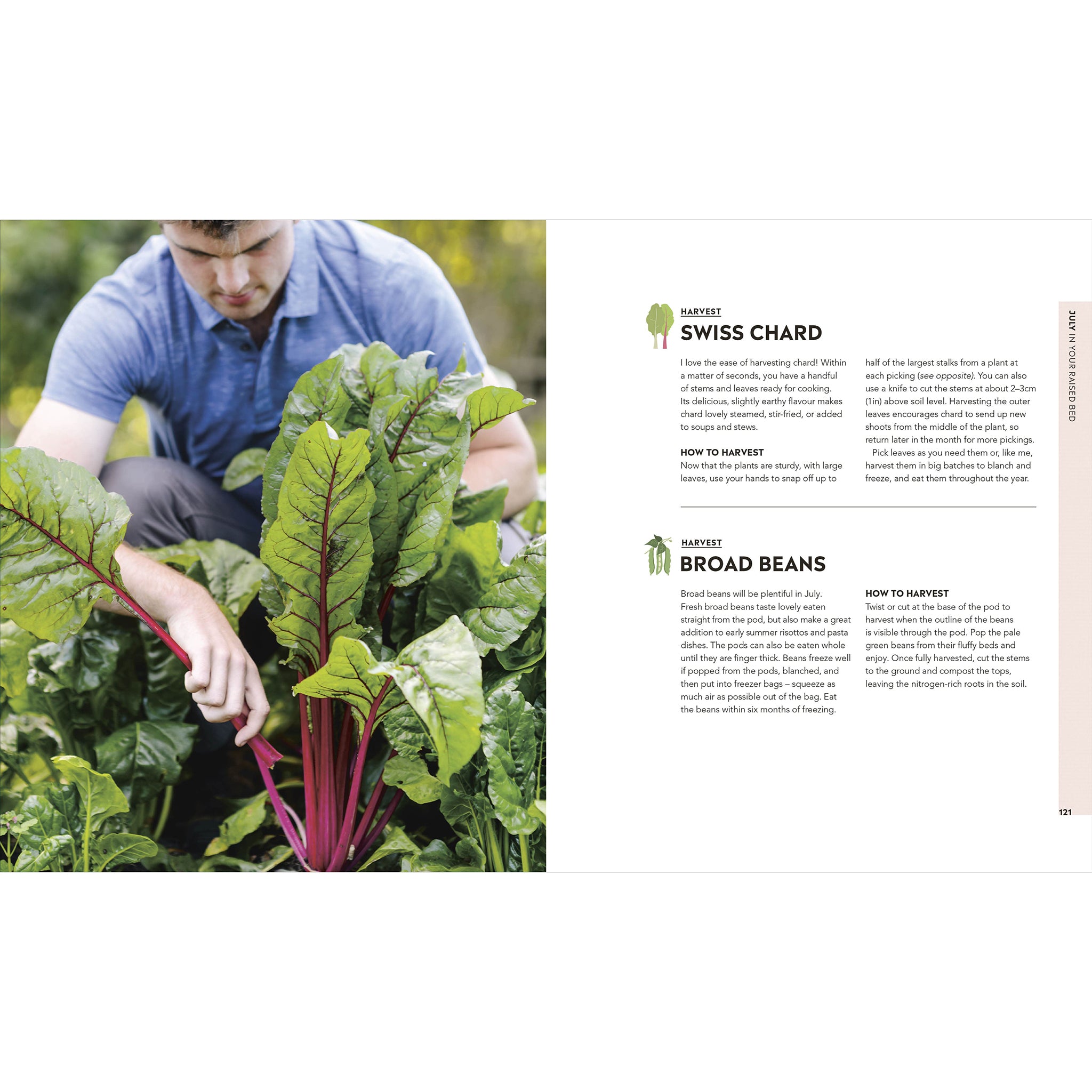 Veg In One Bed - Huw Richards