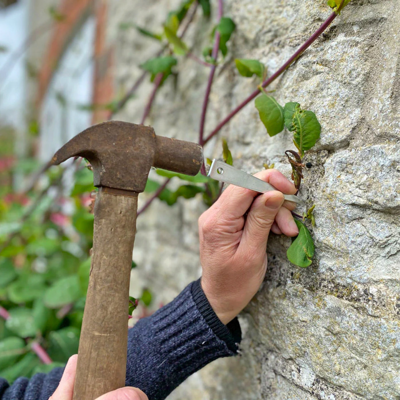 Vine eye being hammered into a wall.