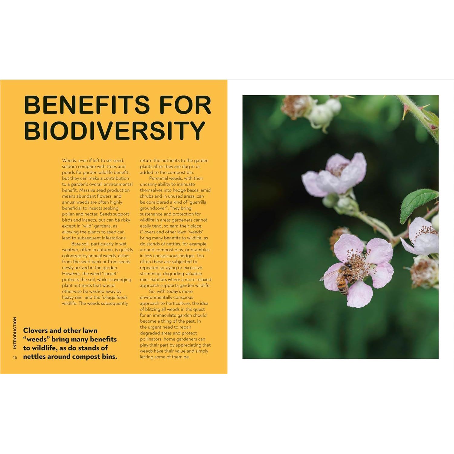 What's That Weed? - Guy Barter