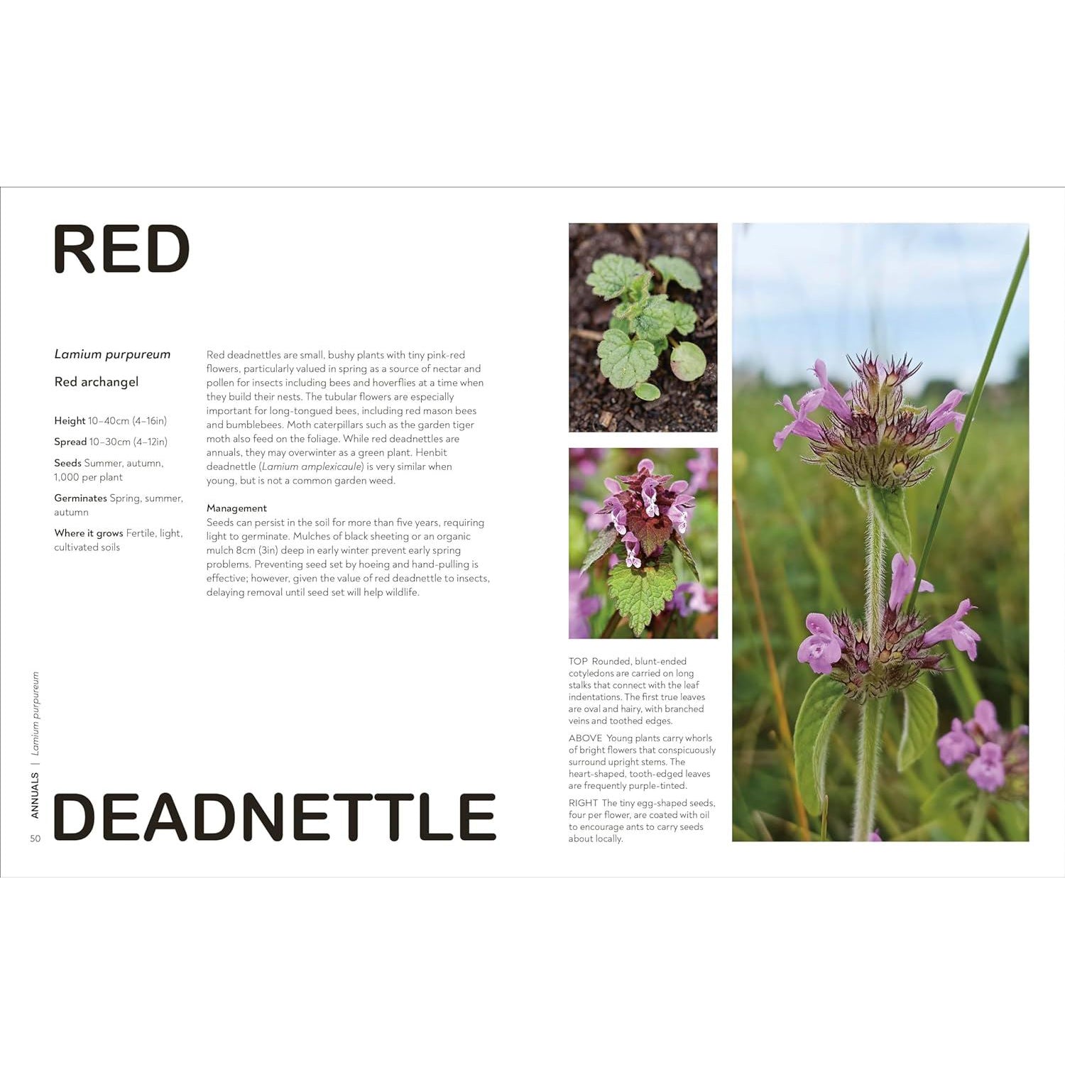 What's That Weed? - Guy Barter