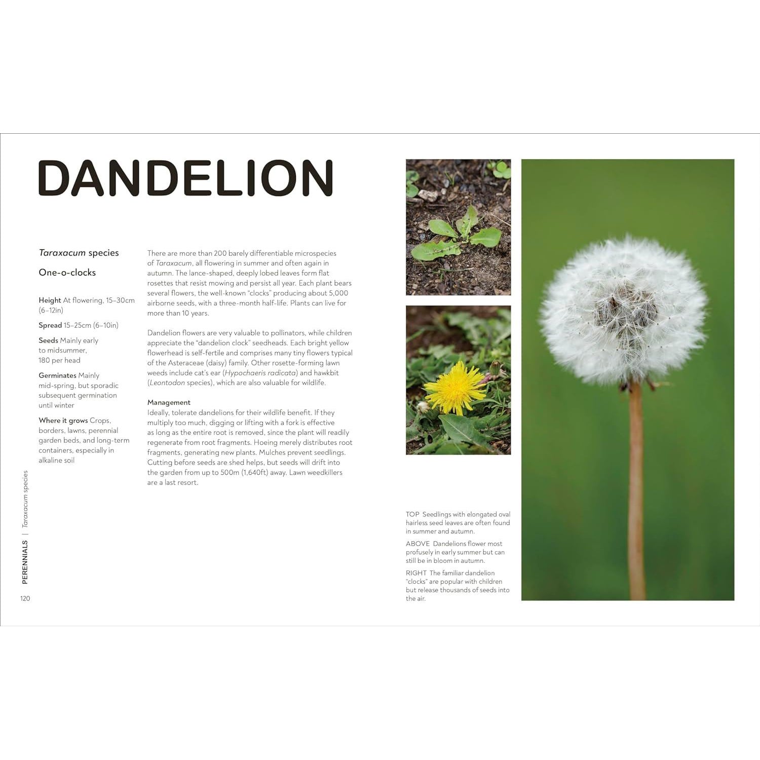 What's That Weed? - Guy Barter