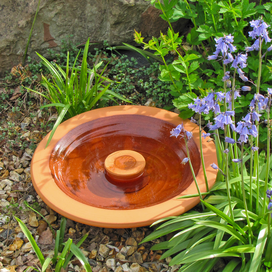 The Wild Island Bird Bath next to a patch of bluebells.