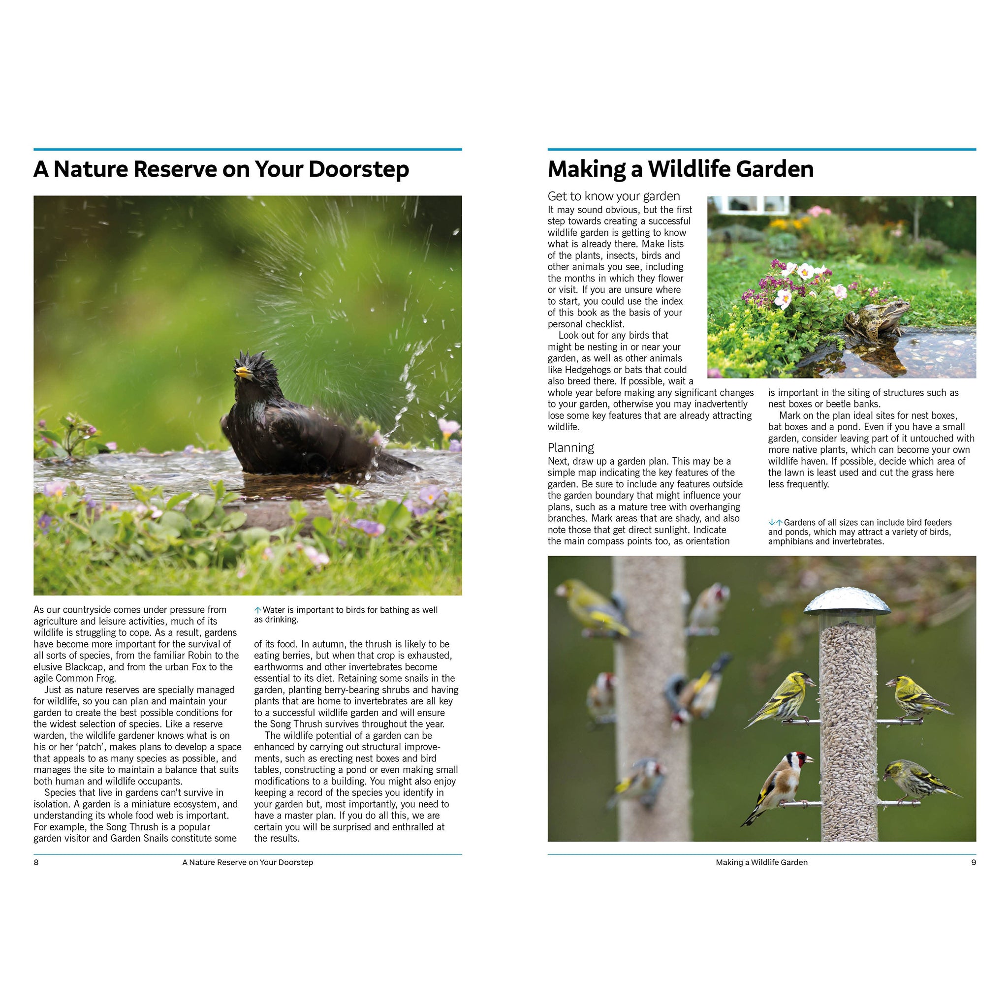 RSPB Handbook of Garden Wildlife - Peter Holden & Geoffrey Abbott