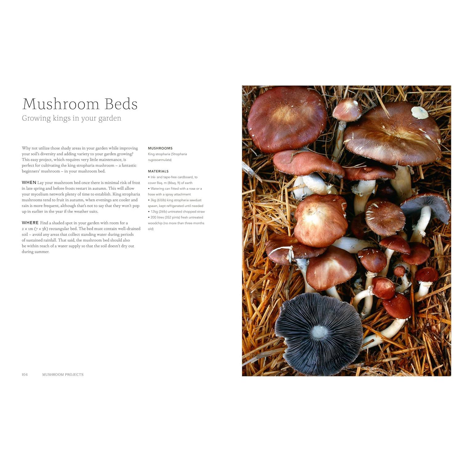 Project Mushroom A Modern Guide to Growing Fungi - Jodie & Lorraine Caley