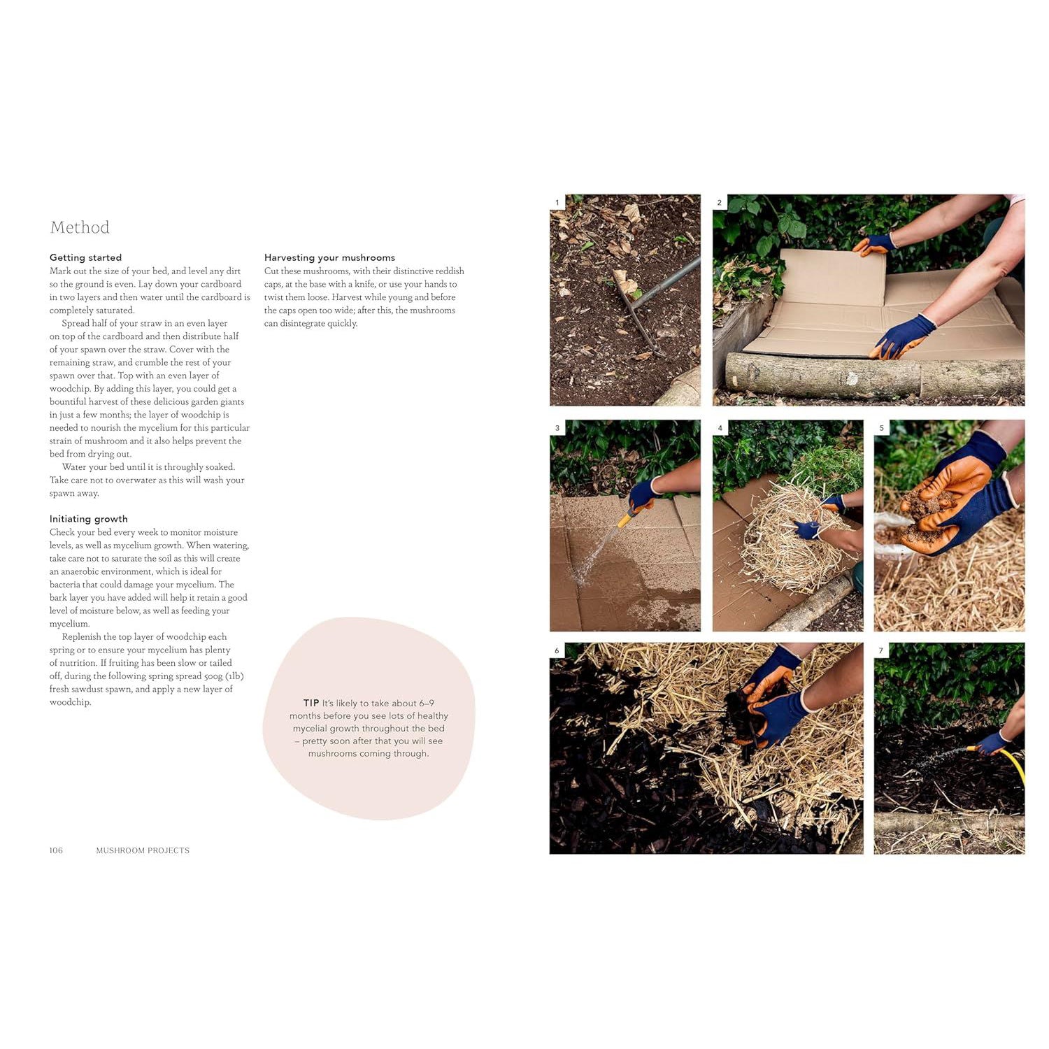 Project Mushroom A Modern Guide to Growing Fungi - Jodie & Lorraine Caley