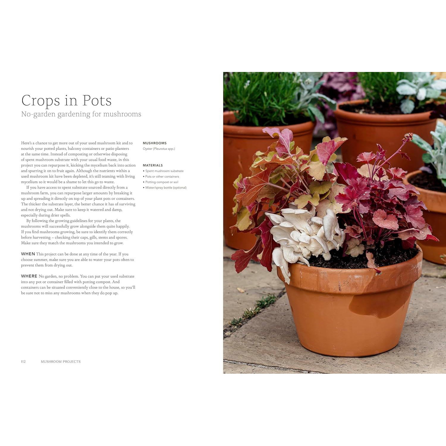 Project Mushroom A Modern Guide to Growing Fungi - Jodie & Lorraine Caley