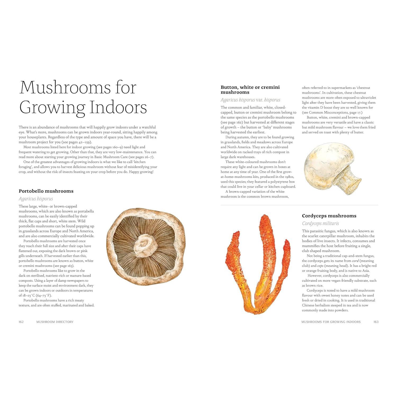 Project Mushroom A Modern Guide to Growing Fungi - Jodie & Lorraine Caley