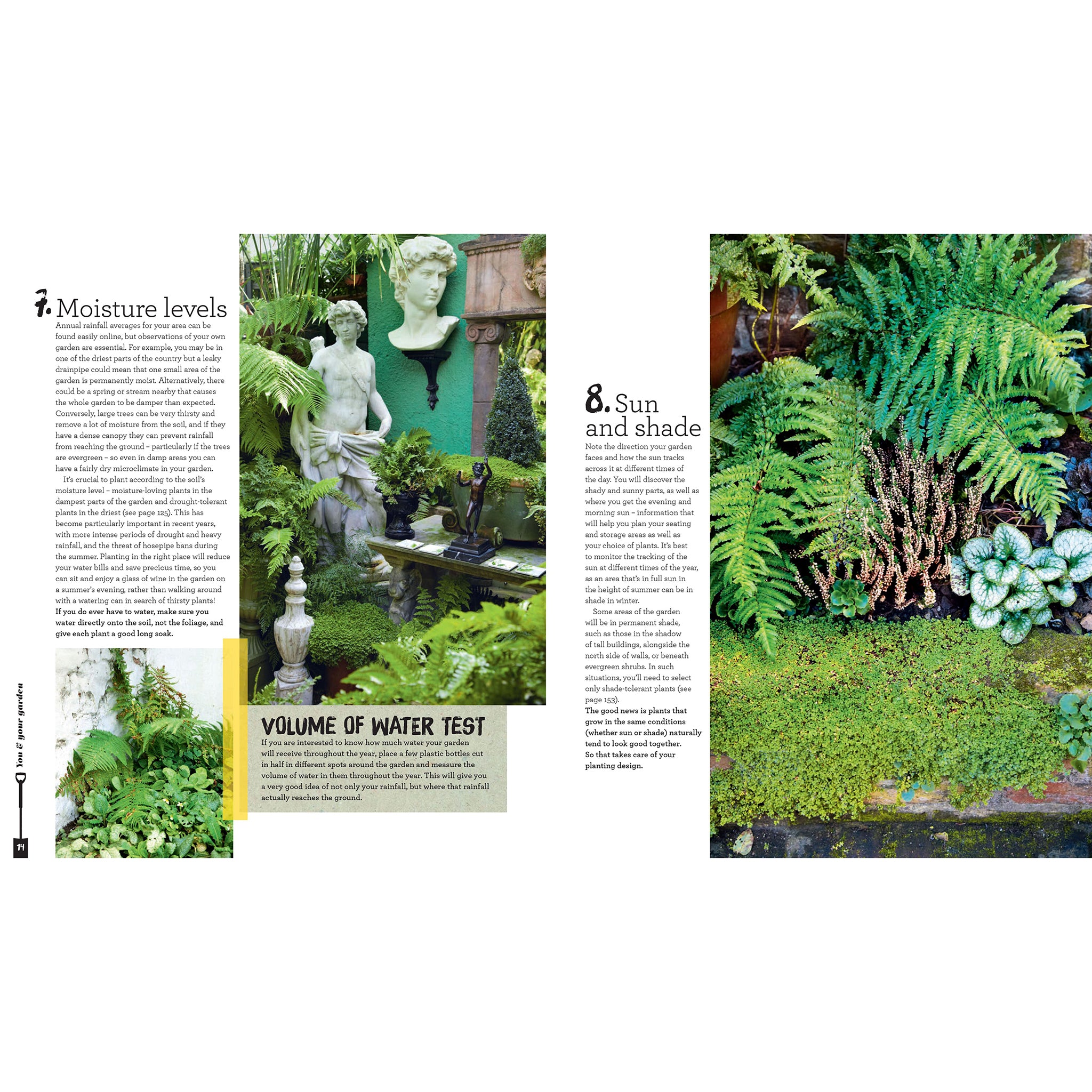 The First-Time Gardener - Frances Tophill